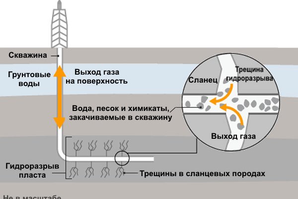 Kraken что это за магазин