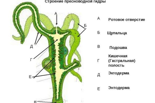 Ссылка на кракен тг